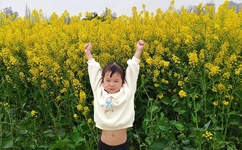 9.1唐伯虎心糖logo免费播放